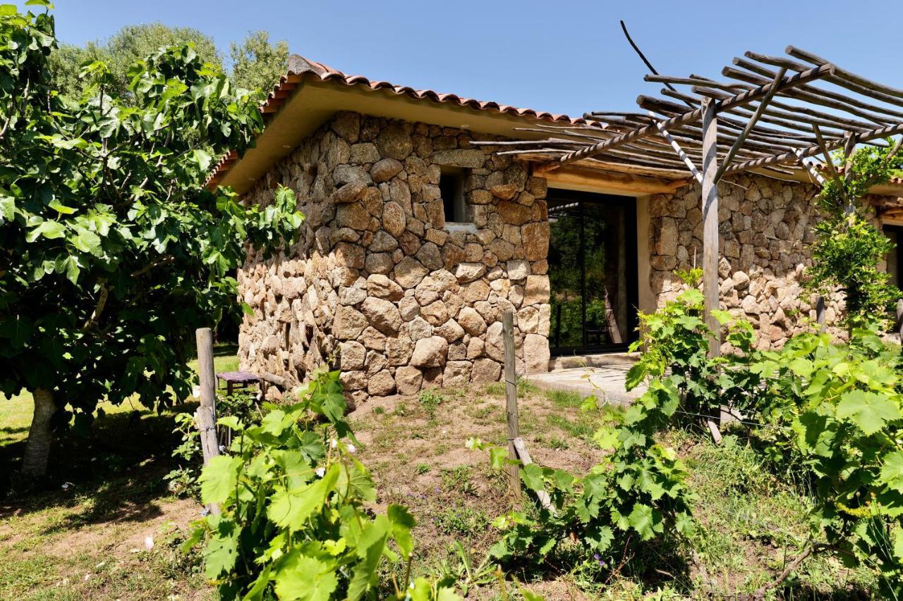 Domaine Pozzo di Mastri et Spa Figari  Exterior foto